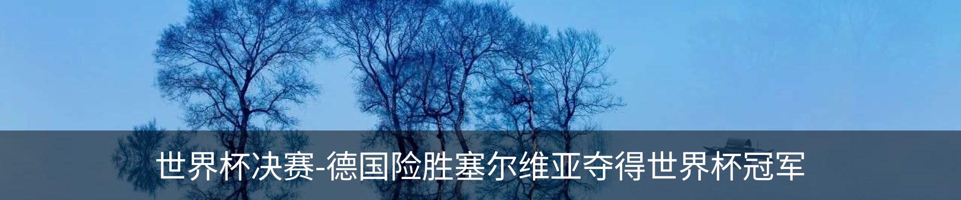 内页banner
